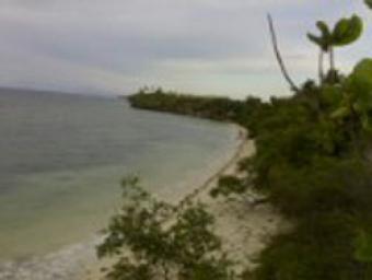 Beach Lot on a Cliff 4 Sale Panglao